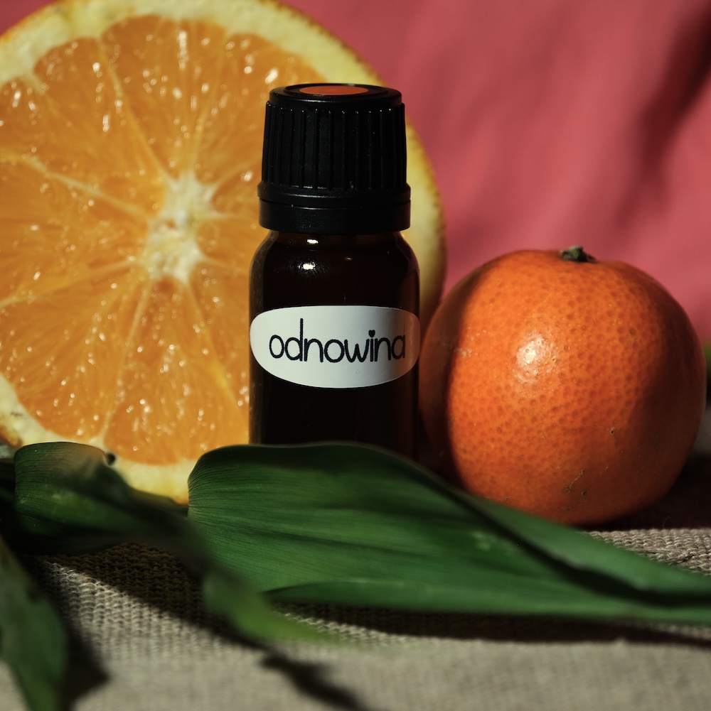 DSCF3083 (1)_s DSCF3083 (1)_s